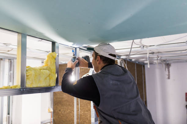 Best Commercial Insulation in North Miami Beach, FL