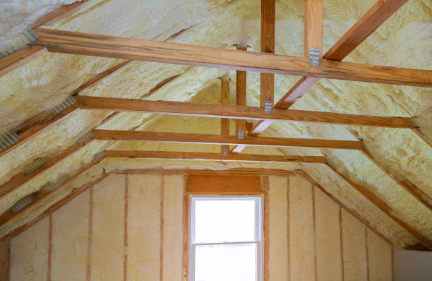 Best Blown-in Insulation in North Miami Beach, FL